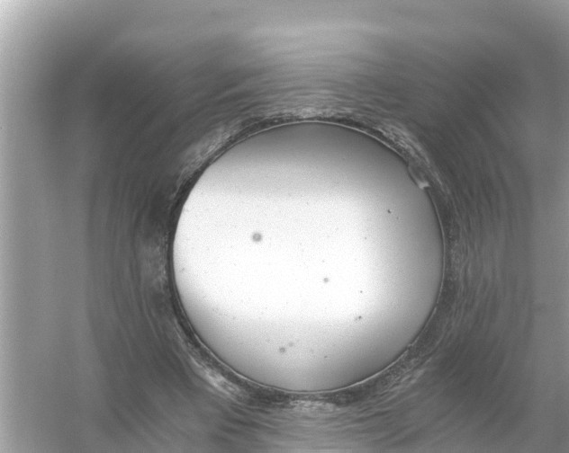 X0000056030393200509170042