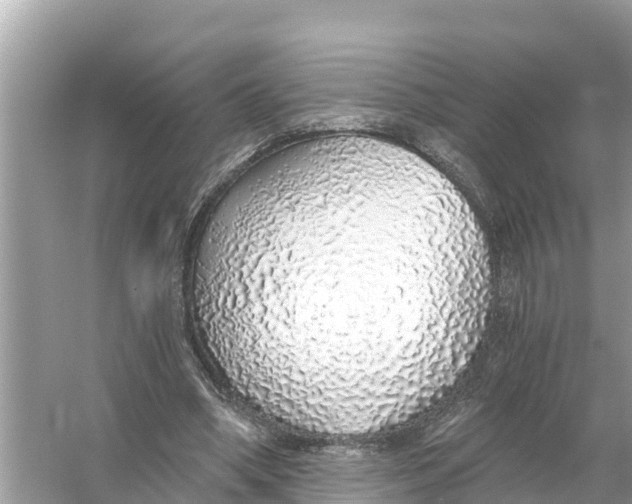 X0000056030394200509170042