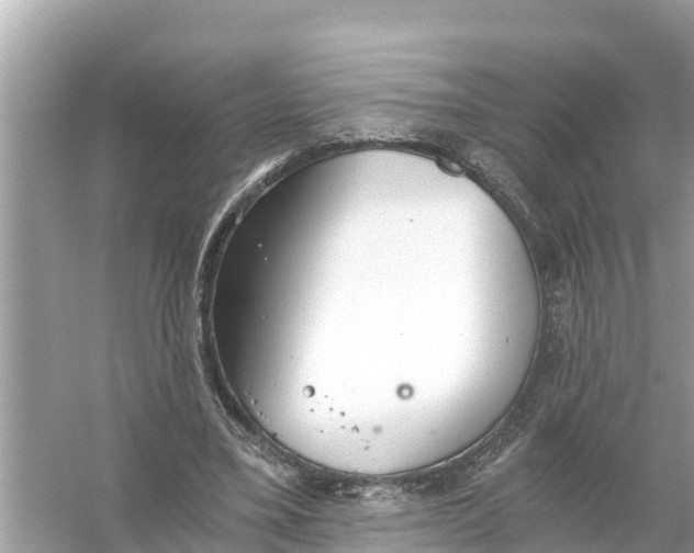 X0000056030395200509170042