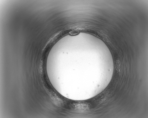 X0000056030400200509170042