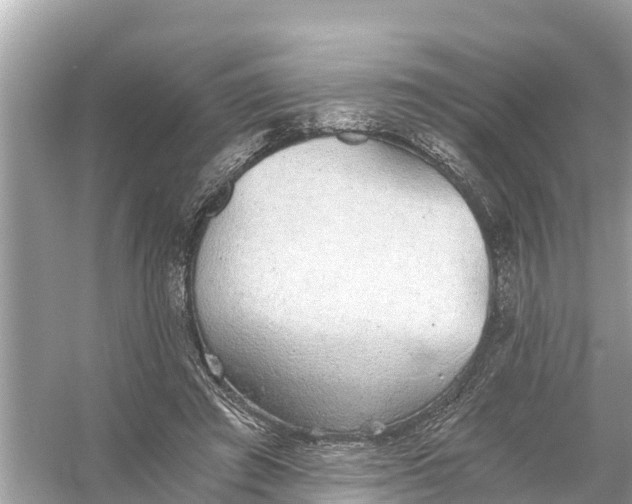 X0000056030401200509170042