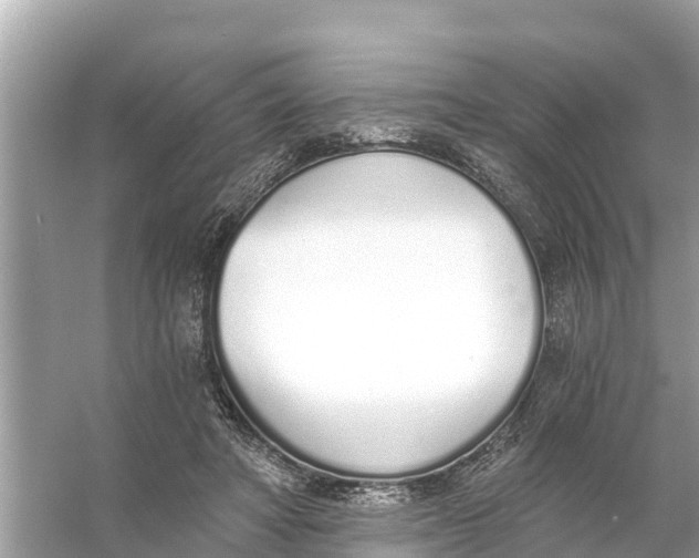 X0000056030402200509170042