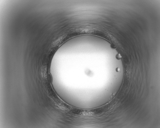 X0000056030403200509170042