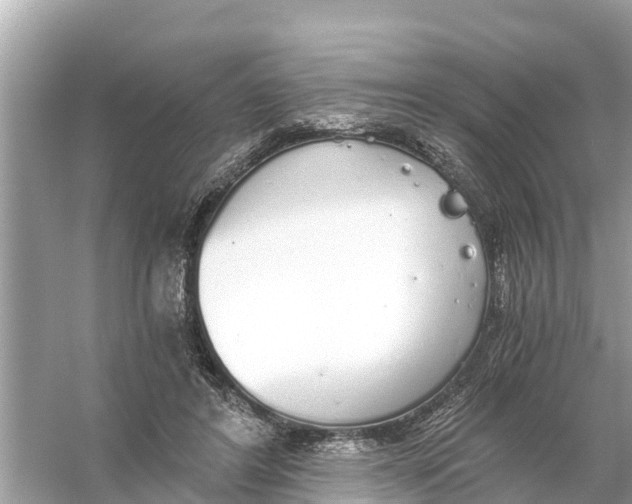 X0000056030404200509170042