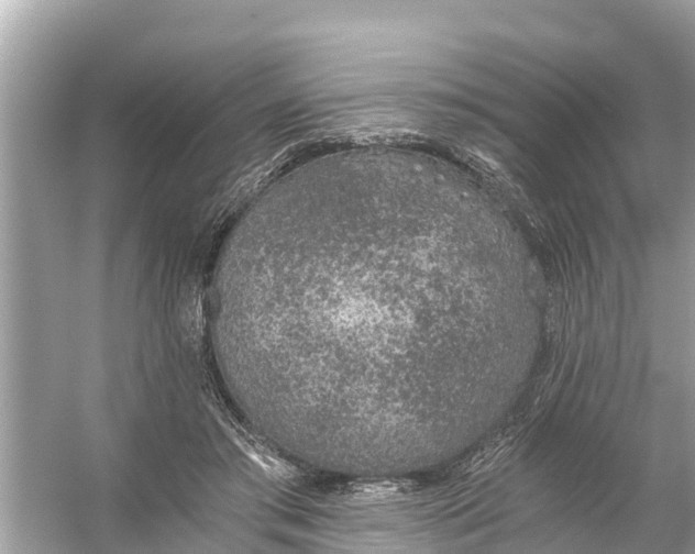 X0000056030405200509170042