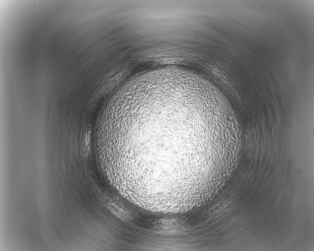 X0000056030406200509170042