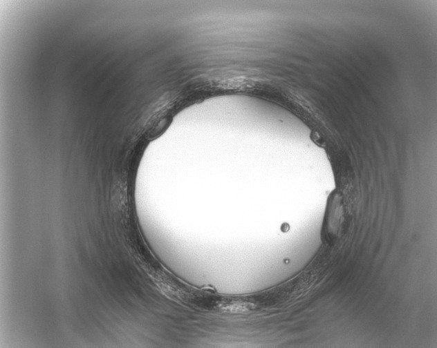 X0000056030407200509170042