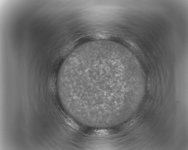 X0000056030409200509170042