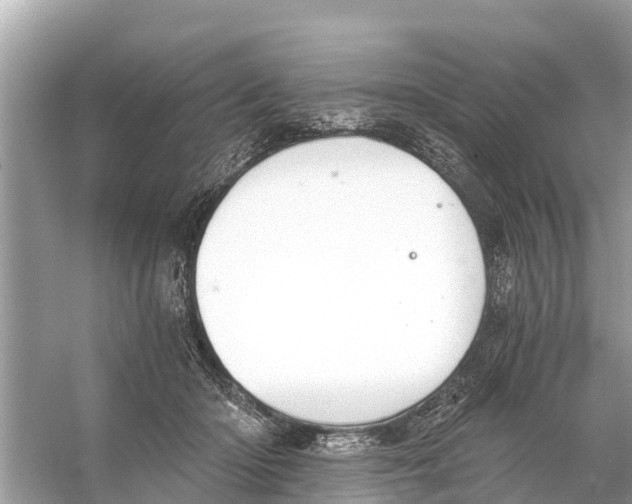 X0000056030414200509170042