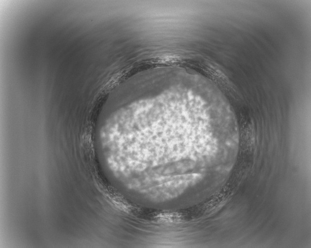 X0000056030415200509170041