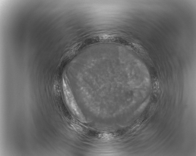 X0000056030419200509170041