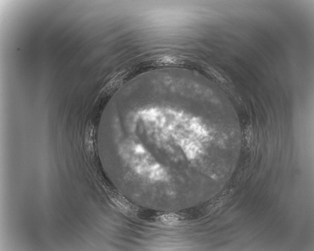 X0000056030423200509170041