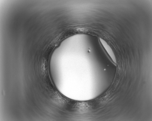 X0000056030424200509170041