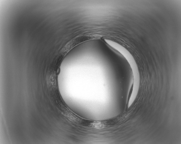 X0000056030425200509170041