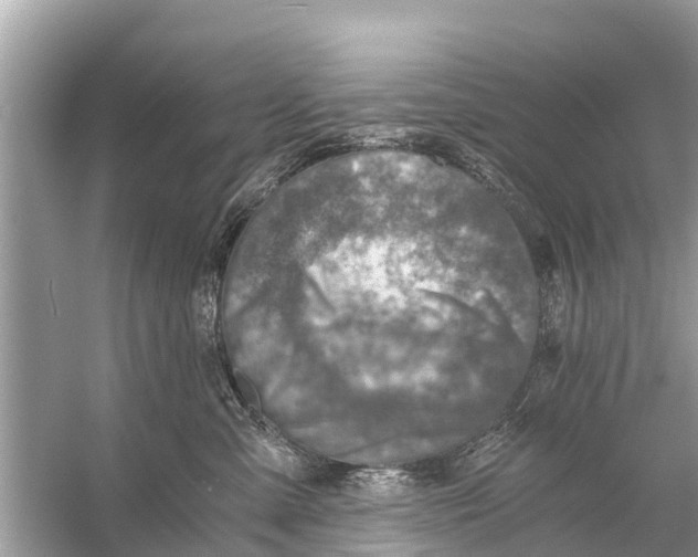 X0000056030427200509170041