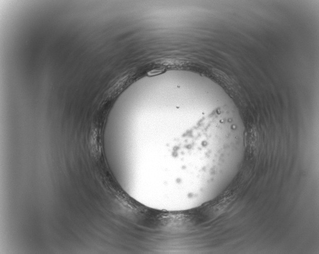 X0000056030428200509170041