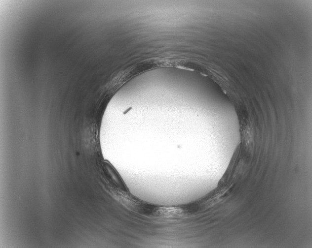 X0000056030429200509170041