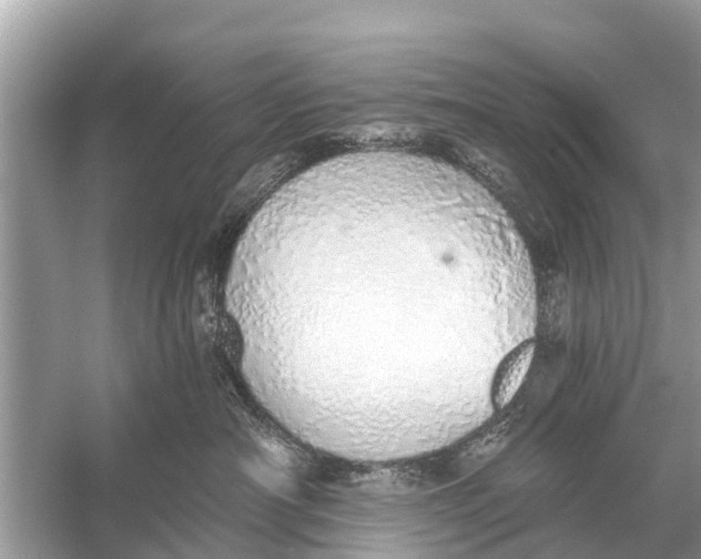 X0000056030430200509170041