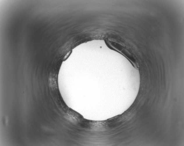 X0000056030432200509170041