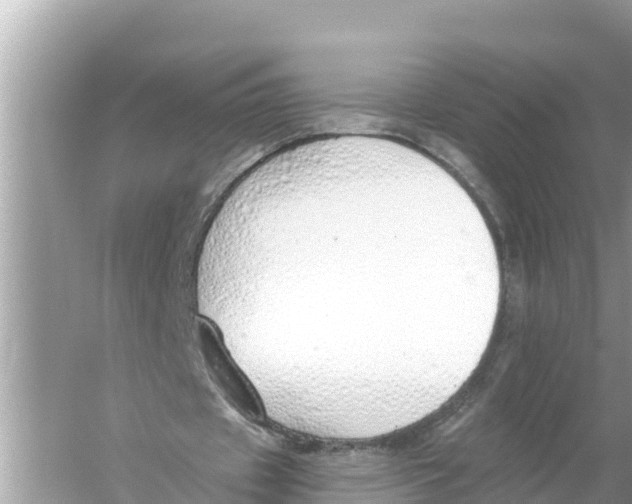 X0000056030433200509170040