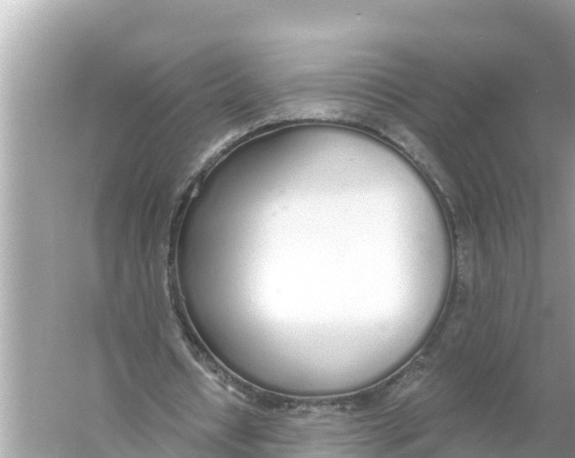 X0000056030434200509170040