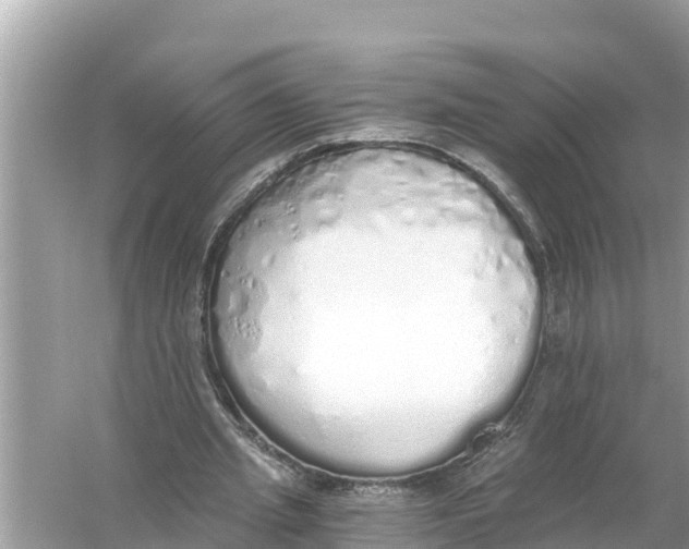 X0000056030437200509170040