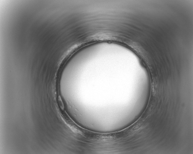 X0000056030438200509170040