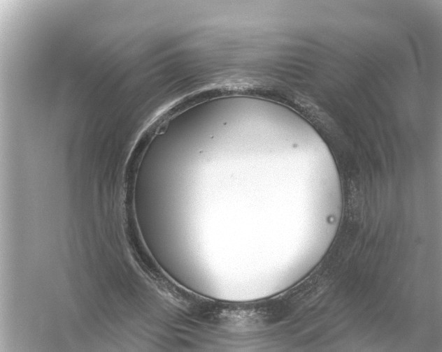 X0000056030440200509170041