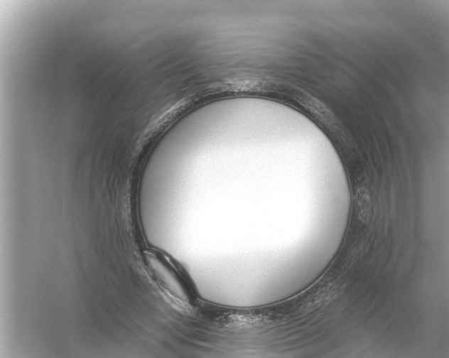 X0000056030442200509170041