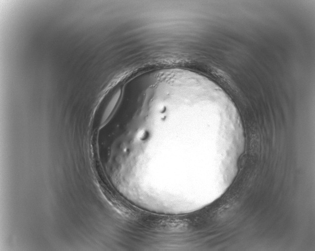 X0000056030443200509170041