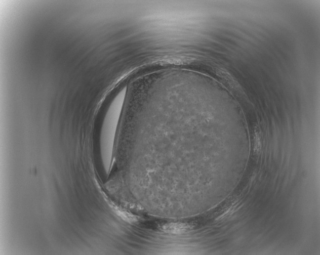 X0000056030444200509170041