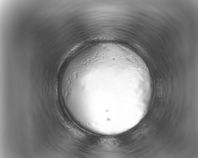 X0000056030446200509170041