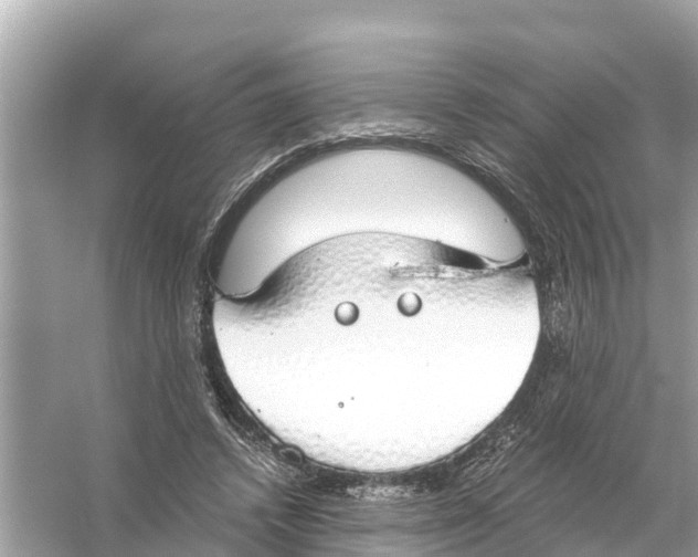 X0000056030448200509170041