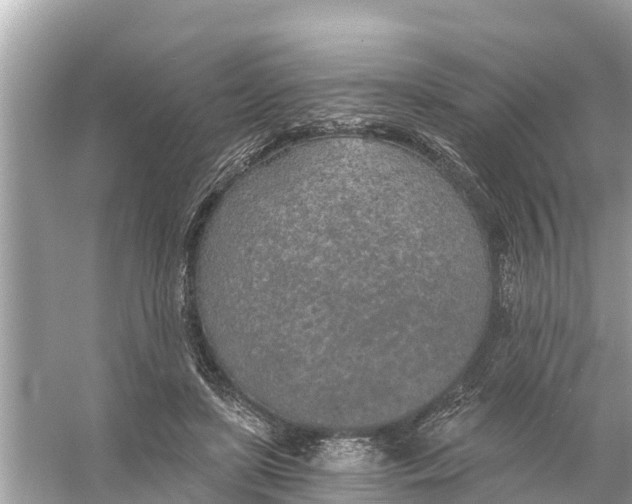 X0000056030451200509170041