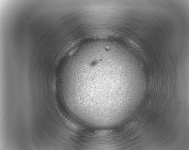 X0000056030452200509170041