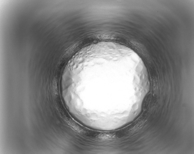 X0000056030453200509170041