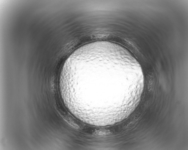 X0000056030455200509170041