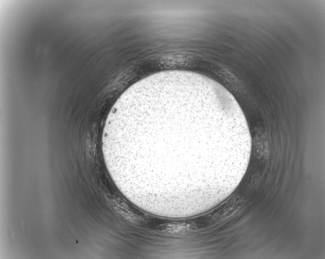 X0000056030458200509170041