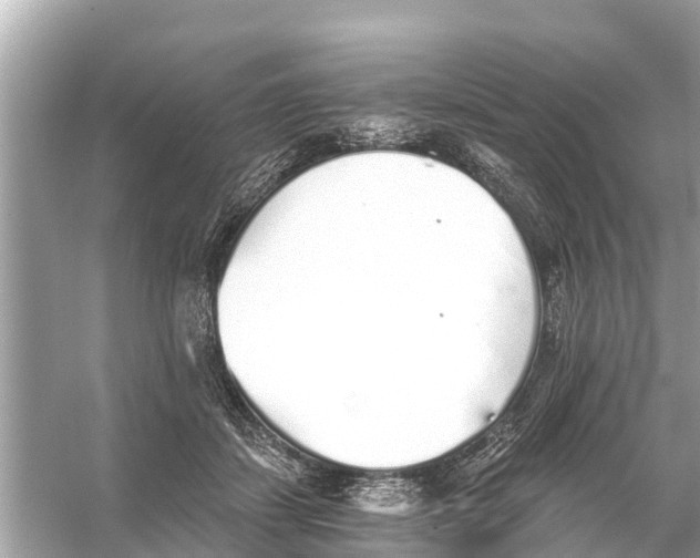 X0000056030459200509170041