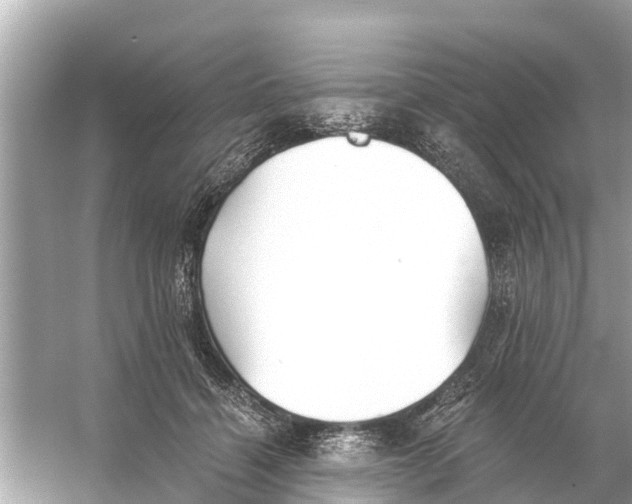 X0000056030460200509170041