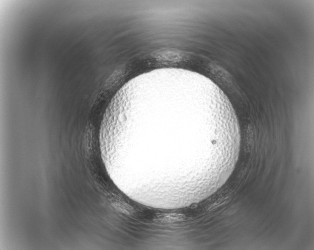 X0000056030463200509170041