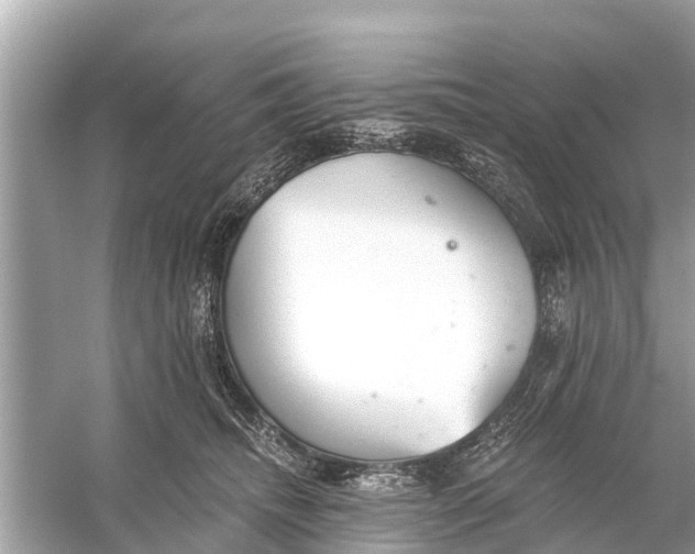 X0000056030468200509170041