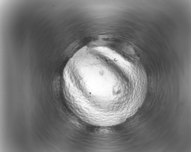 X0000056030475200509170041