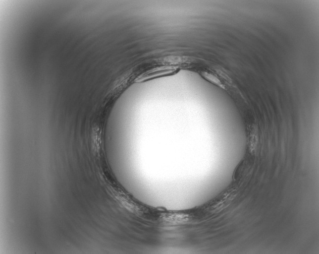 X0000056030476200509170041