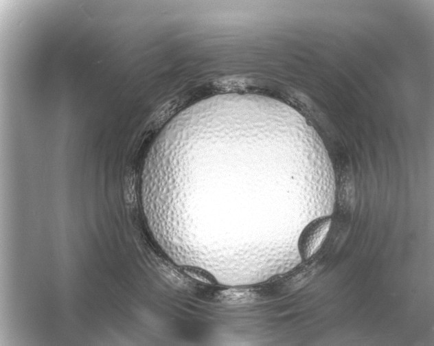 X0000056030477200509170041