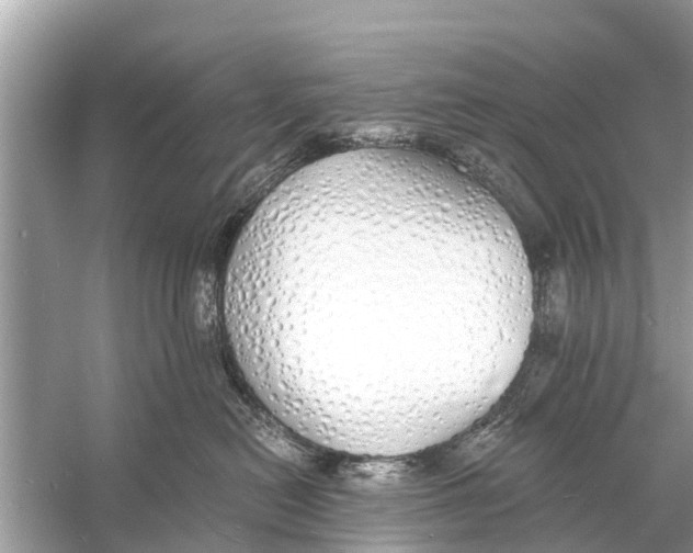 X0000056030478200509170041