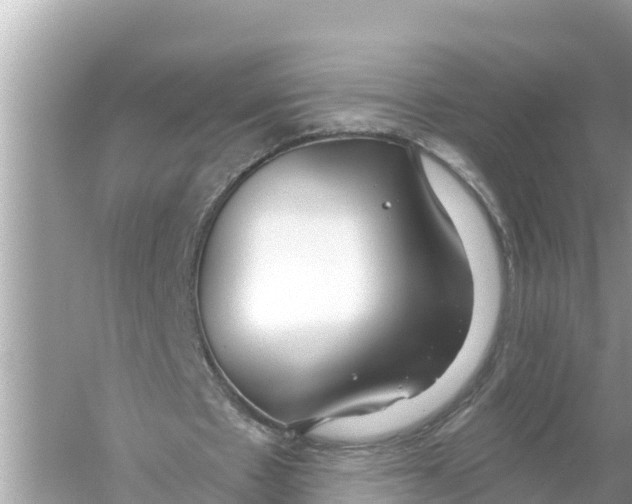 X0000056030481200509170040