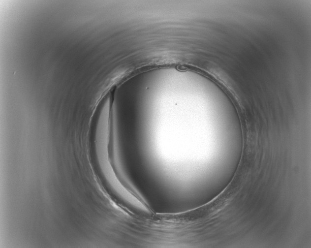 X0000056030485200509170040