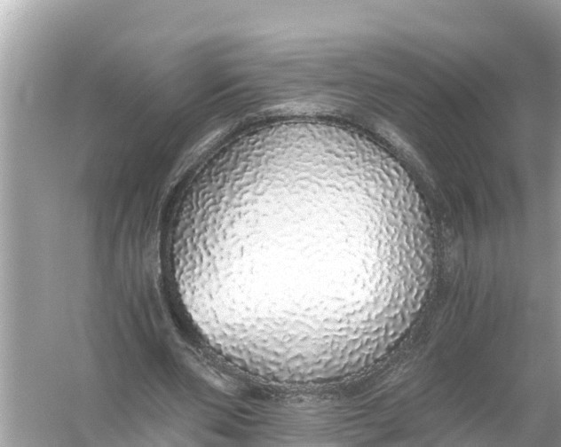 X0000056030486200509170040