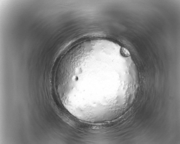 X0000056030487200509170040